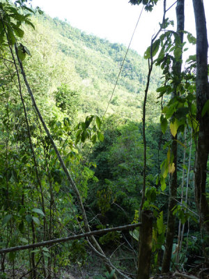 View from way up to Lomo Patico