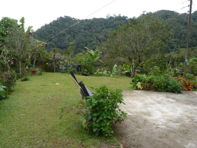 House / Garden at Chestnut-capped Piha Reserve / RNA Arrierito Antioqueno