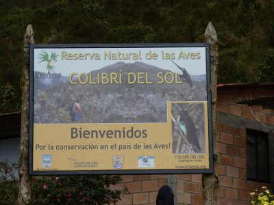 Dusky Starfrontlet Reserve/ RNA Colibri del Sol