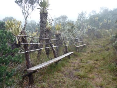 Ticking, I mean seating area, Paramo, Dusky Starfrontlet Reserve/ RNA Colibri del Sol