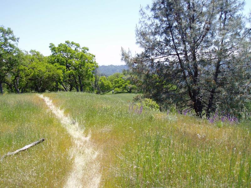 Tie down trail