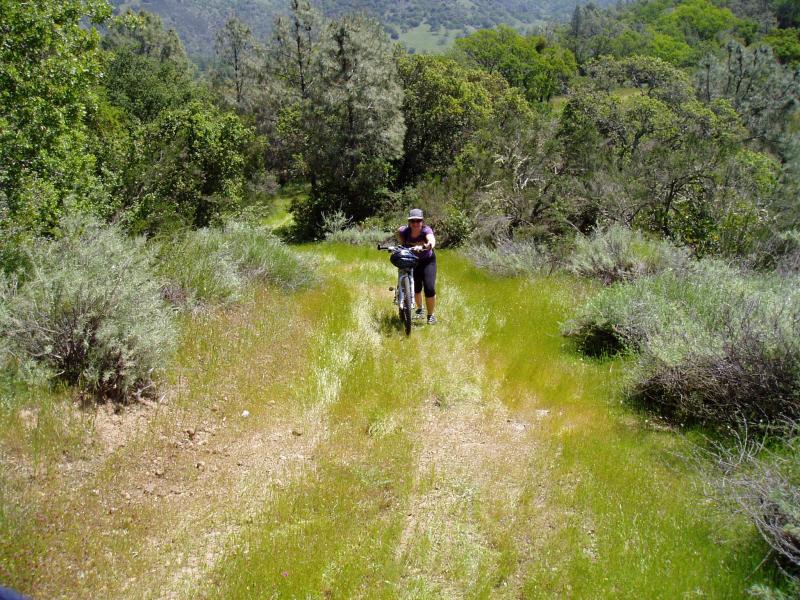 Pacheco climb.