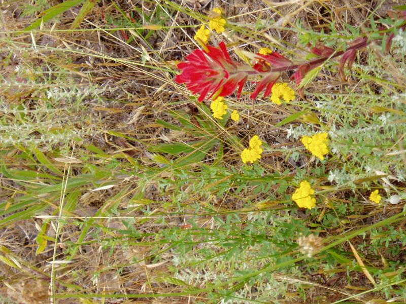 PC140283.JPG