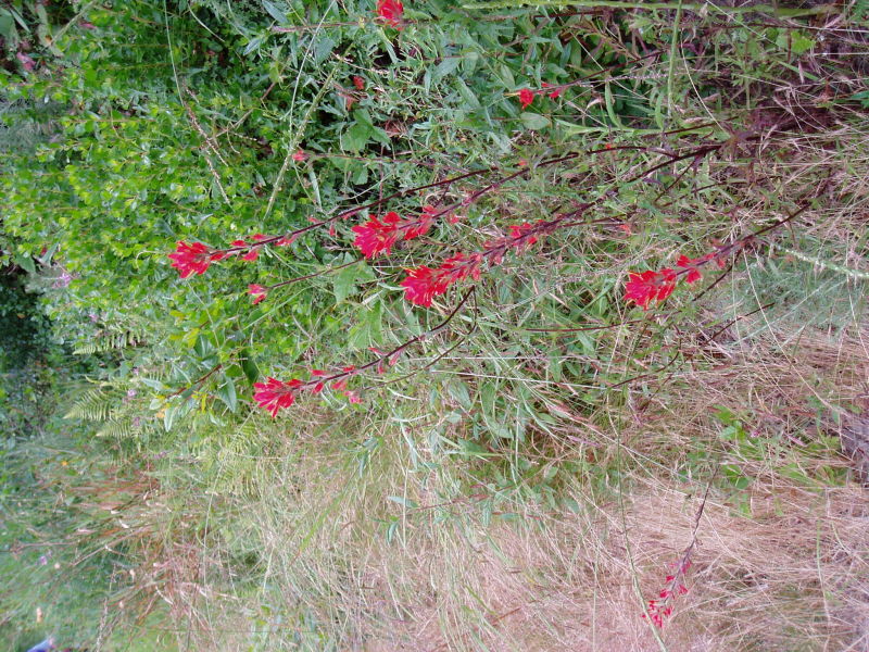 PC140289.JPG