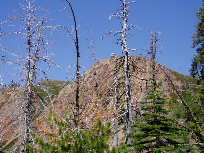 Grouse Ridge Lookout - 7635 ft. (>2000 ft climb)