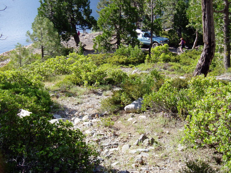 Site