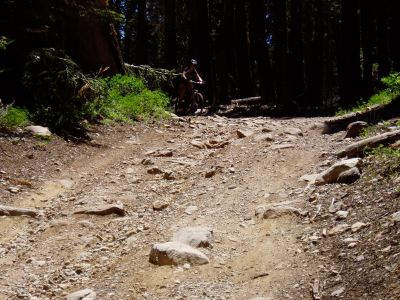 Day #5: Big Boulder trail & Downieville Downhill/2nd Divide