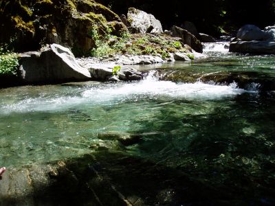 Day #6: Downieville River - trail treat