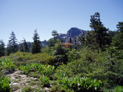 Trailhead to the Downieville Downhill