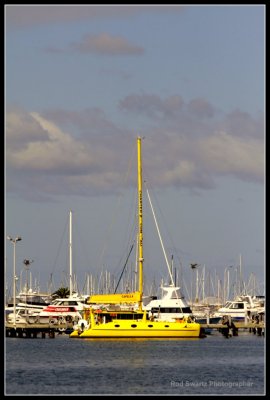 Yellow in Fremantle