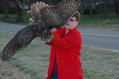 Owl Release (1)  2006
