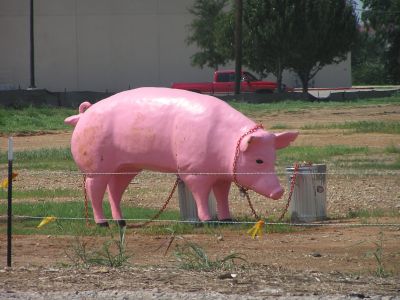 Pink pig2.JPG