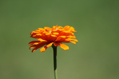 IMG_7560.JPG
