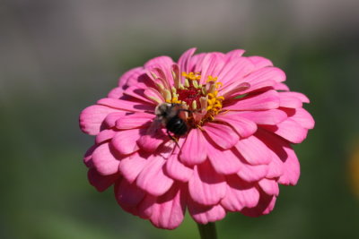 IMG_7562.JPG