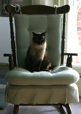 Simone on a chair.jpg