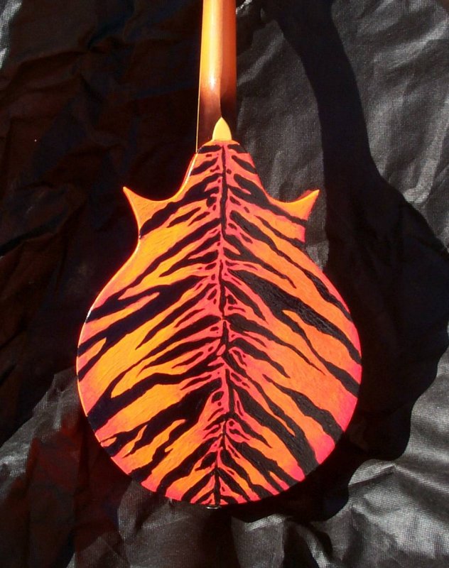 tiger mandolin
