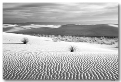 White Sands 3-26-11