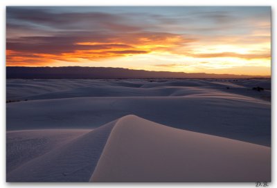 Morning Sands.jpg