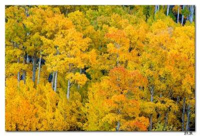 Aspen 10-20-11