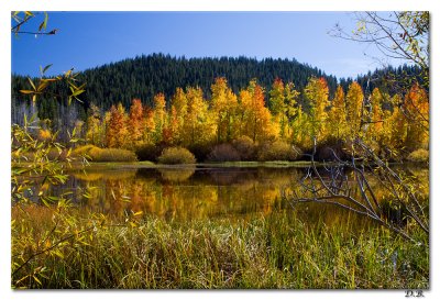 ColorfulPond.10-27-11