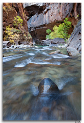 Narrows 11-15-11