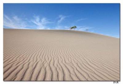 Dunes 3-28-12