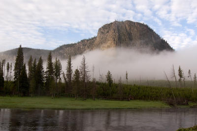 morning fog