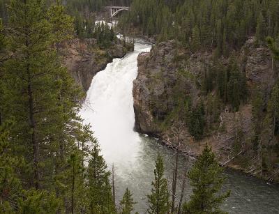 Yellowstone-Tetons 2007