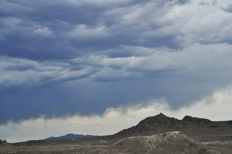 DSC_2629_2.jpg