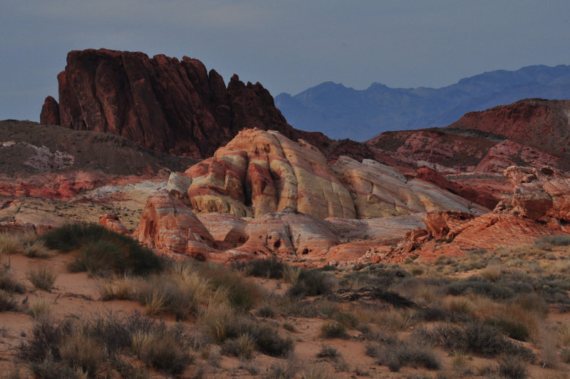 DSC_6918.jpg