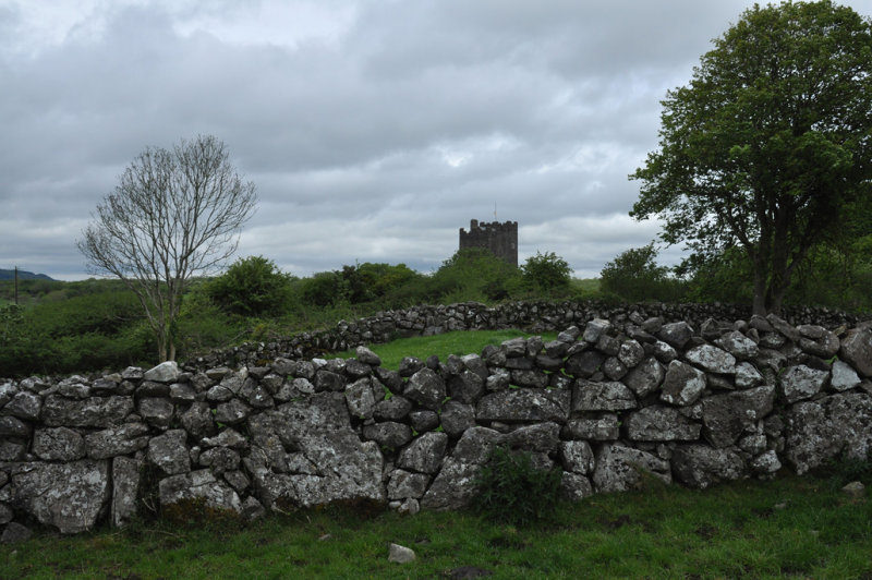 DSC_1048.jpg