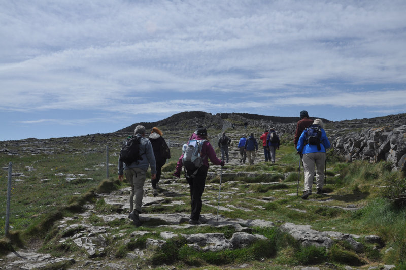 DSC_1295.jpg