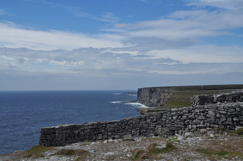 DSC_1348.jpg