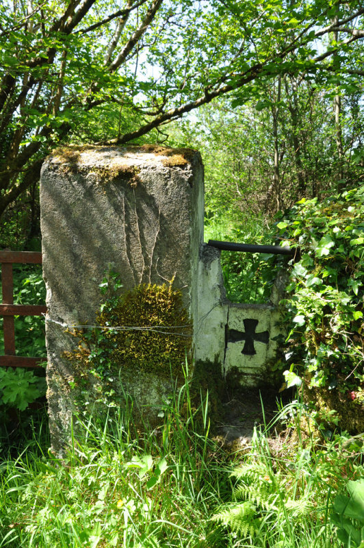 DSC_2266.jpg