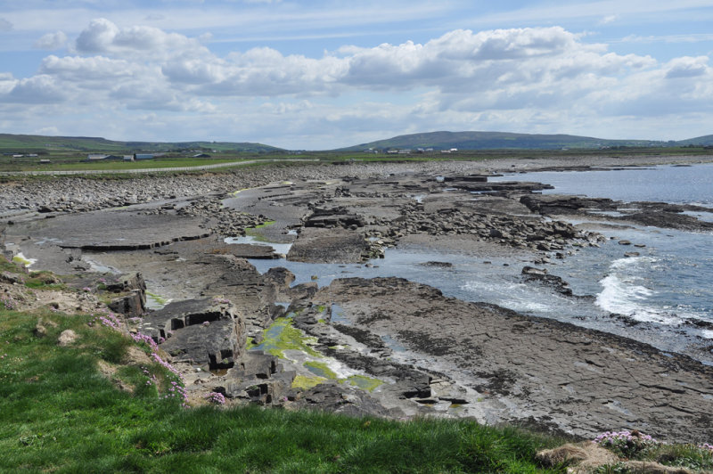 DSC_2887.jpg