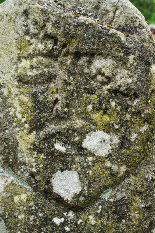 DSC_3446.jpg