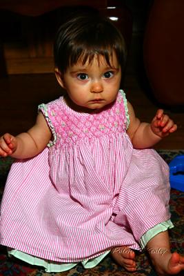 s800IMG_6498.jpg