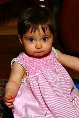 s800IMG_6506.jpg