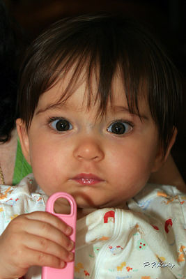 s800IMG_7663.jpg