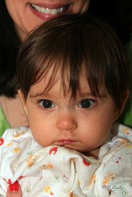 s800IMG_7665.jpg