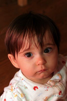 s800IMG_7676.jpg