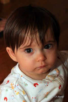 s800IMG_7677.jpg