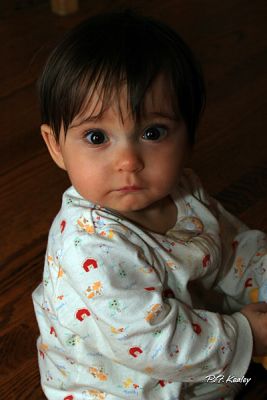 s800IMG_7678.jpg