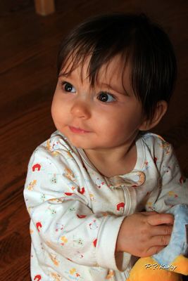 s800IMG_7679.jpg