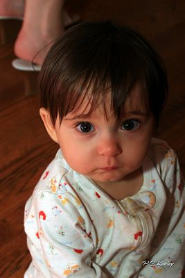 s800IMG_7680.jpg