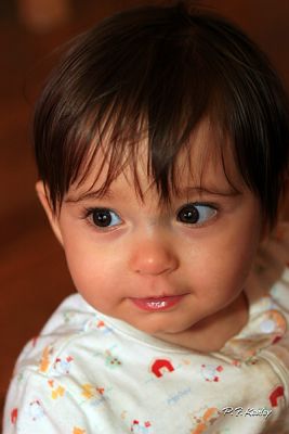 s800IMG_7684.jpg