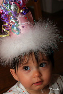 s800IMG_7689.jpg
