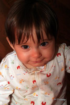 s800IMG_7703.jpg