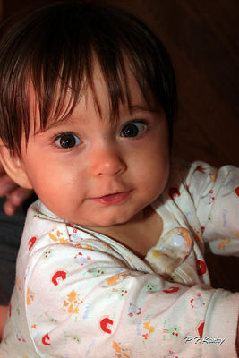 s800IMG_7705.jpg