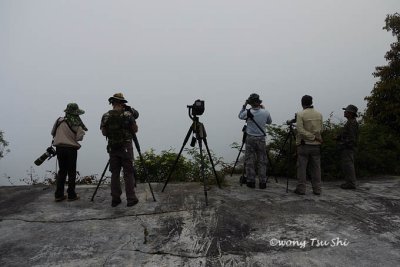 Shooting in the mist.
